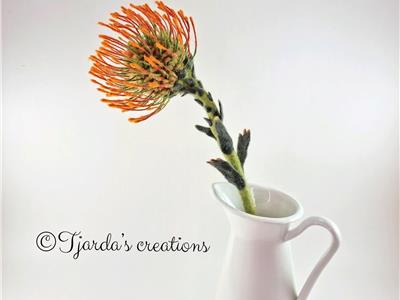 Tjarda's creatie